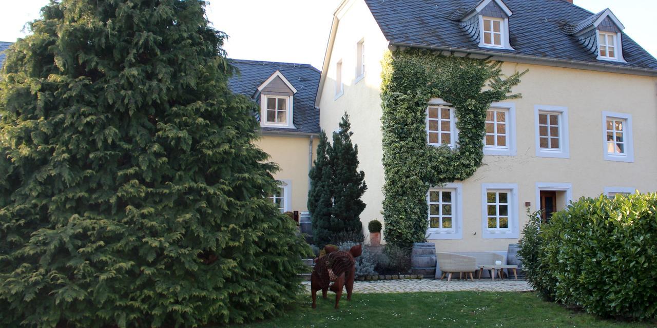 Wein- & Tafelhaus Hotel Trittenheim Bagian luar foto